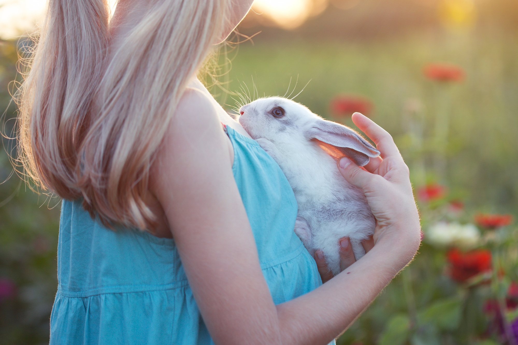 girl and rabbit